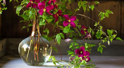 Maybe you would like to learn more about one of these? Best Wild Flowers for DIY Bouquets - Sunset Magazine