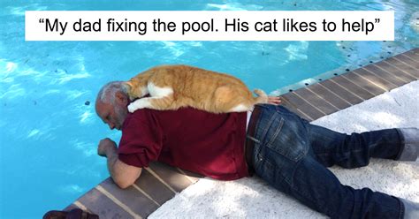 30 Of The Most Adorable Photos Of Cat Dads And Their Furry