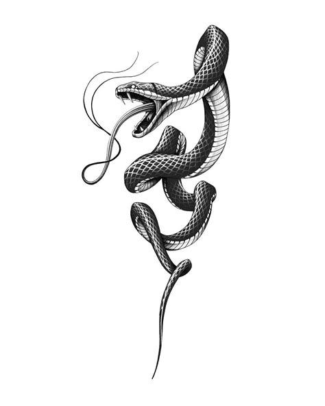 Pin By Deyvid Braz On Животные Snake Tattoo Design Inspirational