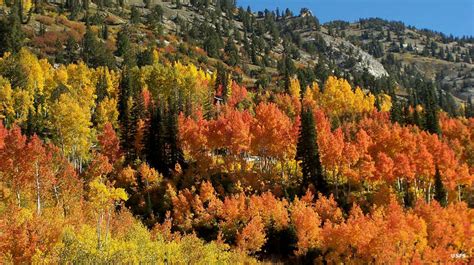 Little Cottonwood Canyon Scenic Drive Scenic Byways