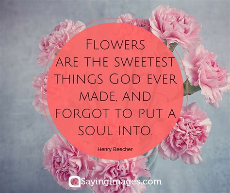 35 Beautiful Flower Quotes To Celebrate Life Hope And