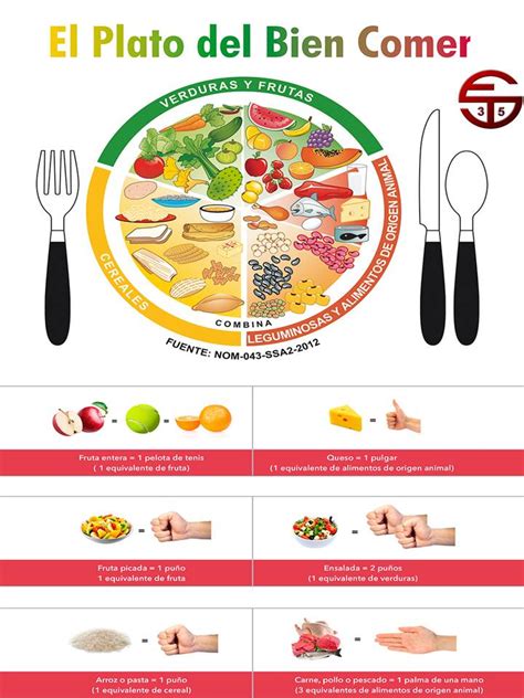 Triptico Preve Apuntes Plato Del Bien Comer Y Jarra Del Buen