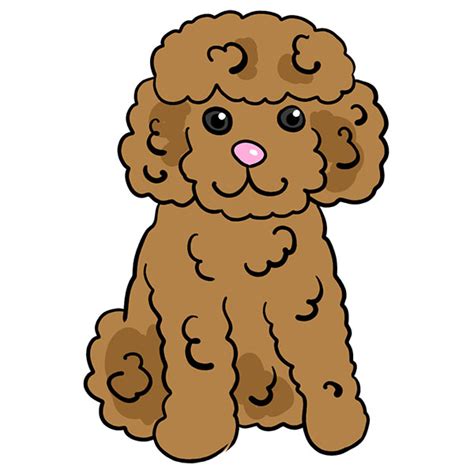 How To Draw A Poodle Easy Drawing Tutorial For Kids
