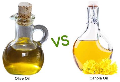 Canola oil has gained prominence in recent years as a versatile and inexpensive cooking oil. Canola Oil Vs Olive Oil | Which Is Healthier For You?