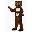 Kids Bear Mascot  Animal Costumes
