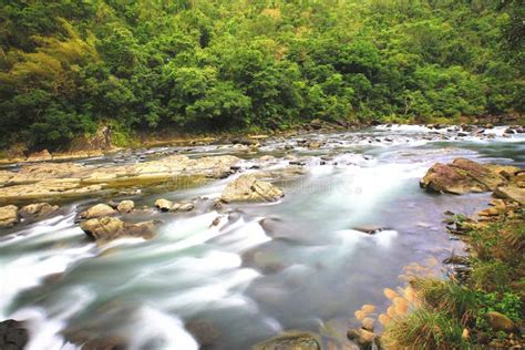 Beautiful Flowing River Scenery Stock Photo Image Of Grass Forest