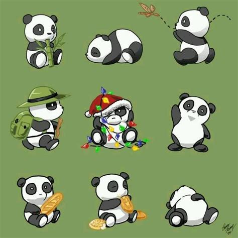 Anime Panda Drawing At Getdrawings Free Download