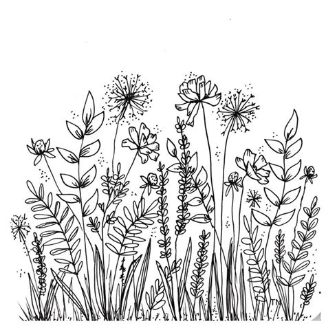Maybe you would like to learn more about one of these? Botanical Line Drawings and Doodles | Botanical line ...