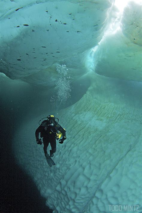 Best Ice Diving Destinations In The World Scuba Diving