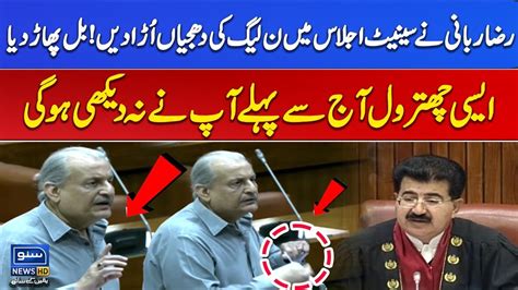 ppp raza rabbani s aggressive speech in the senate suno news hd youtube