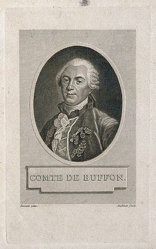Georges Louis Leclerc Comte De Buffon Free Public Domain Image Look