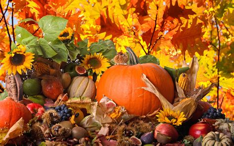 40 Free Thanksgiving Wallpaper And Background To Try In 2016