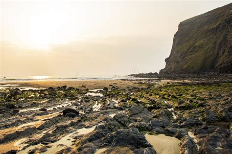 Crackington Haven Beach North Cornwall Between Bude And Tintagel England UK Stock Image Image