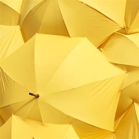 Umbrellow Yellow Painting Yellow Umbrella Color
