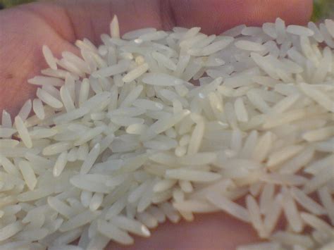 Pakistani Super Kernel Basmati Extra Long Grain Ricepakistan Price