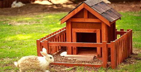 5 Best Rabbit Hutches Uk 2021 Review