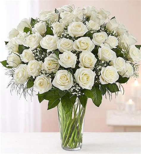 Ultimate Elegance Long Stem White Roses 98714