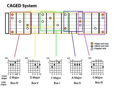 什么是吉他中的caged系统 哔哩哔哩