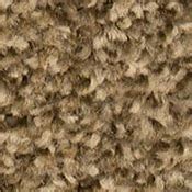 The cost to produce triexta is lower than that of nylon, so triexta, generally speaking, is very competitively priced. Buy SmartStrand Carpet