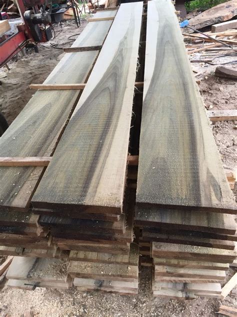 Poplar Lumber For Sale 1x12s And Other Sizes For Sale In Alto Ga