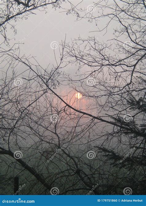 Foggy Winter Sunrise On A Chilly Morning Stock Photo Image Of Poland