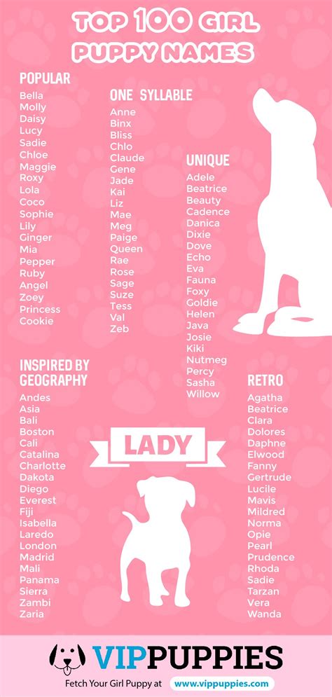 Best Female Dog Names 2024 Minne Tabatha