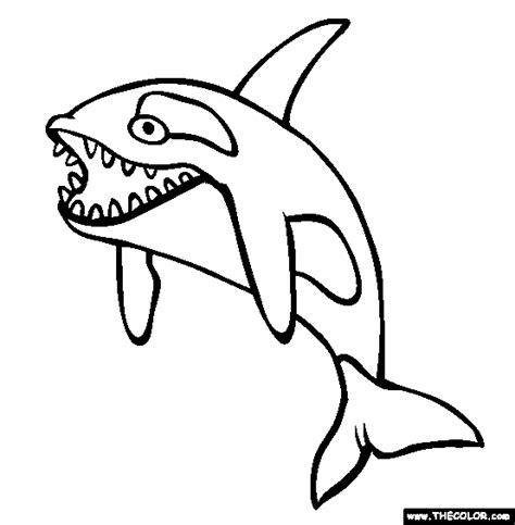 Learn more about killer whale (orca) and download the killer whale coloring page. Sea Life Online Coloring Pages | Page 1