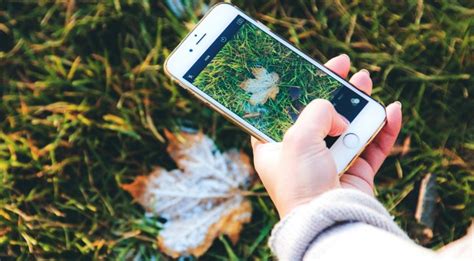 And if you want to share plant pictures and details with friends, just do it with plant identification ++. The Best Plant Identification Apps - The Plant Guide