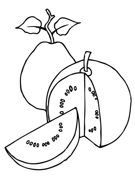 Guava coloring pages. Download and print Guava coloring pages.