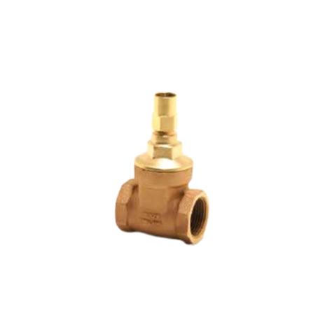 1063 Forged Brass Spring Action Check Valves Aqua Arab