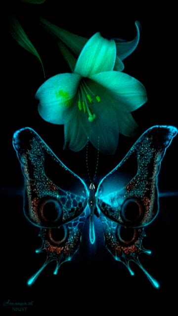 Butterfly Beauty ️ Butterfly  Butterfly Pictures Butterfly Kisses