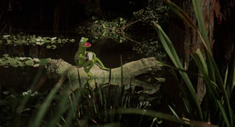 Kermit The Frog Sings The Rainbow Connection 1979 The Kid Should