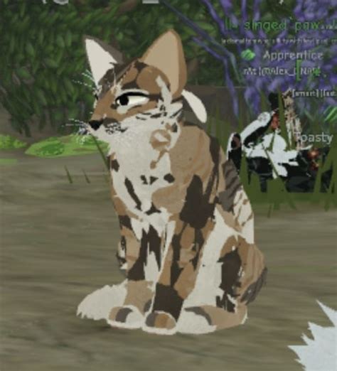 Pin By My World On Wc Morphs In 2022 Warrior Cats Art Warrior Cats
