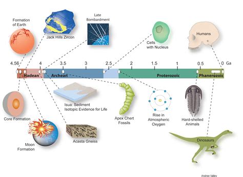 Earth History Timeline