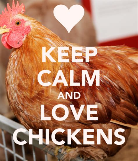 Keep Calm And Love Chickens Poster Elyse Keep Calm O Matic