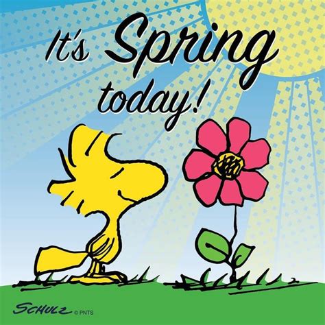 Happy First Day Of Spring Snoopy Love Snoopy Peanuts Gang
