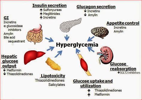 Learn The Long And Short Term Complications Of Diabetes Hubpages