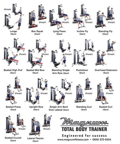 This is a free printable worksheet in pdf format and holds a printable version of the quiz full body muscular anatomy. Weider Workout Routines | Kayaworkout.co