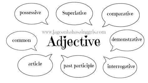 Detail Contoh Kata Adjective Koleksi Nomer 12