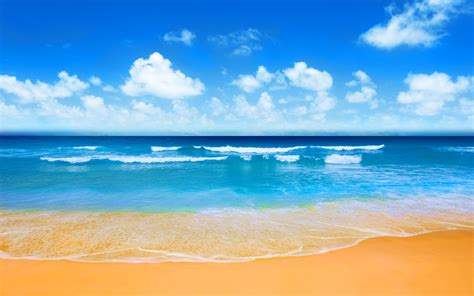 Download Summer Horizon Nature Beach 8k Ultra Hd Wallpaper