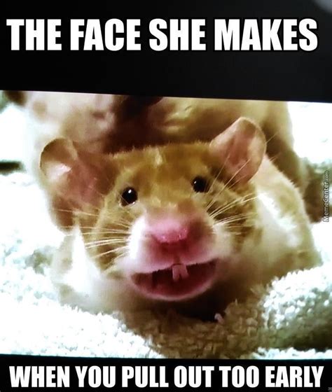 Unfulfilled Hamster By Dafloofyhamster Meme Center