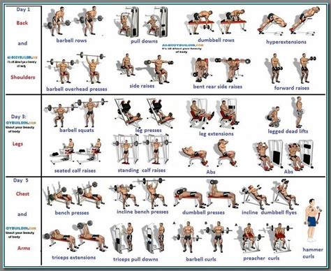 Workout Routine To Build Muscle