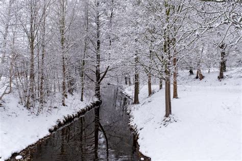 Winter Snow River Stream Forest Snowfall Scenery Dramatic Germany Tree