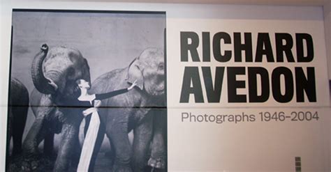 Richard Avedon At The Sfmoma Tango Diva