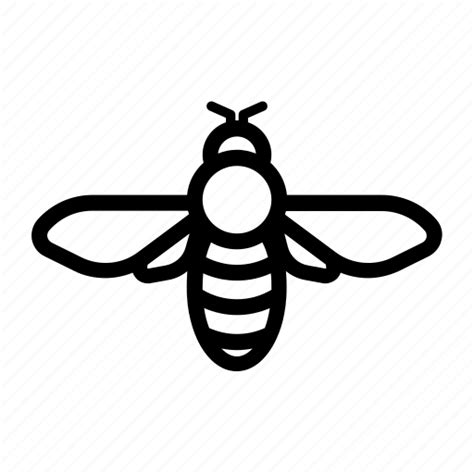 Bee Outline Png Free Logo Image