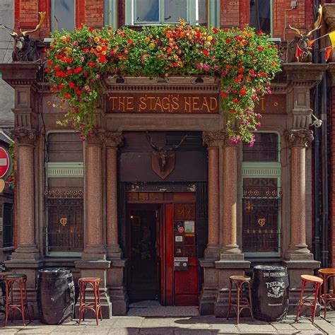 Stags Head Dublin Updated January 2023 Top Tips Before You Go