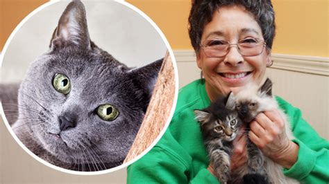 Crazy Cat Lady Stereotype Put To The Test By American Scientists 7news