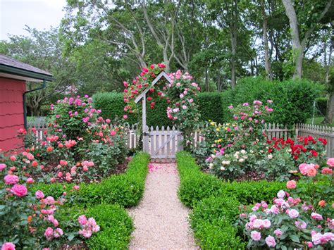 Cottage Garden Design With Roses Wilson Rose Garden