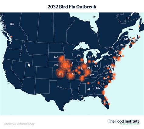 Avian Influenza Outbreak 2024 - Gladys Marris