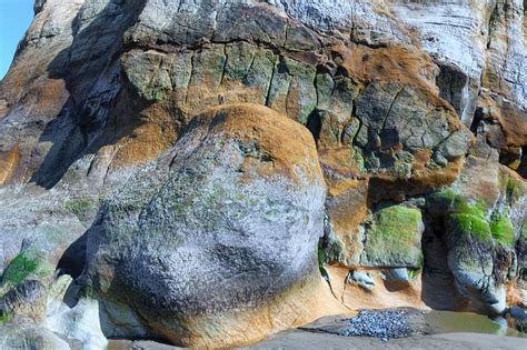 Close Up Of Sandstone Rock On The Oregon Coast Stock Image Image Of